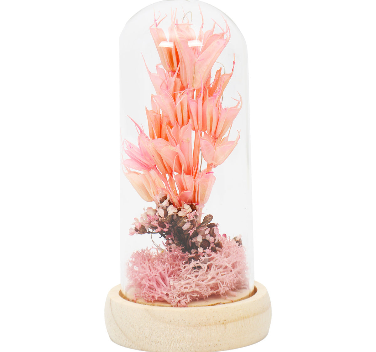 Maple Leaf Home Plastic Dry Flower In Glass Decor 1199-6