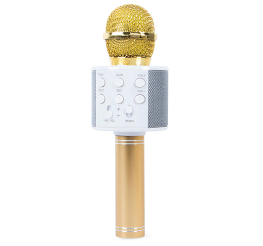 Iends Karaoke Mic With Speaker KO10
