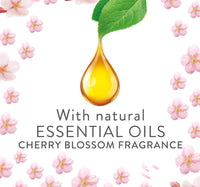 Air Wick Plug-in Scented Oil Fragrance Diffuser with Refill Cherry Blossom 19 ml