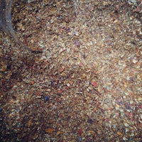 Shefs-All Spice Blends Shefs