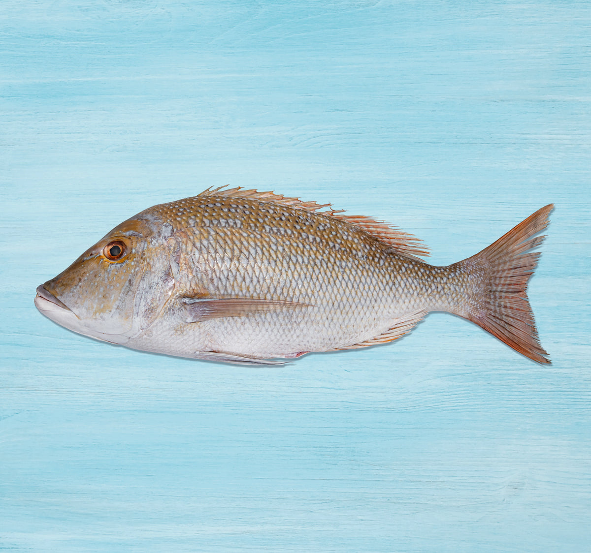 Sheri Fish Big Whole Cleaned 1.25 kg