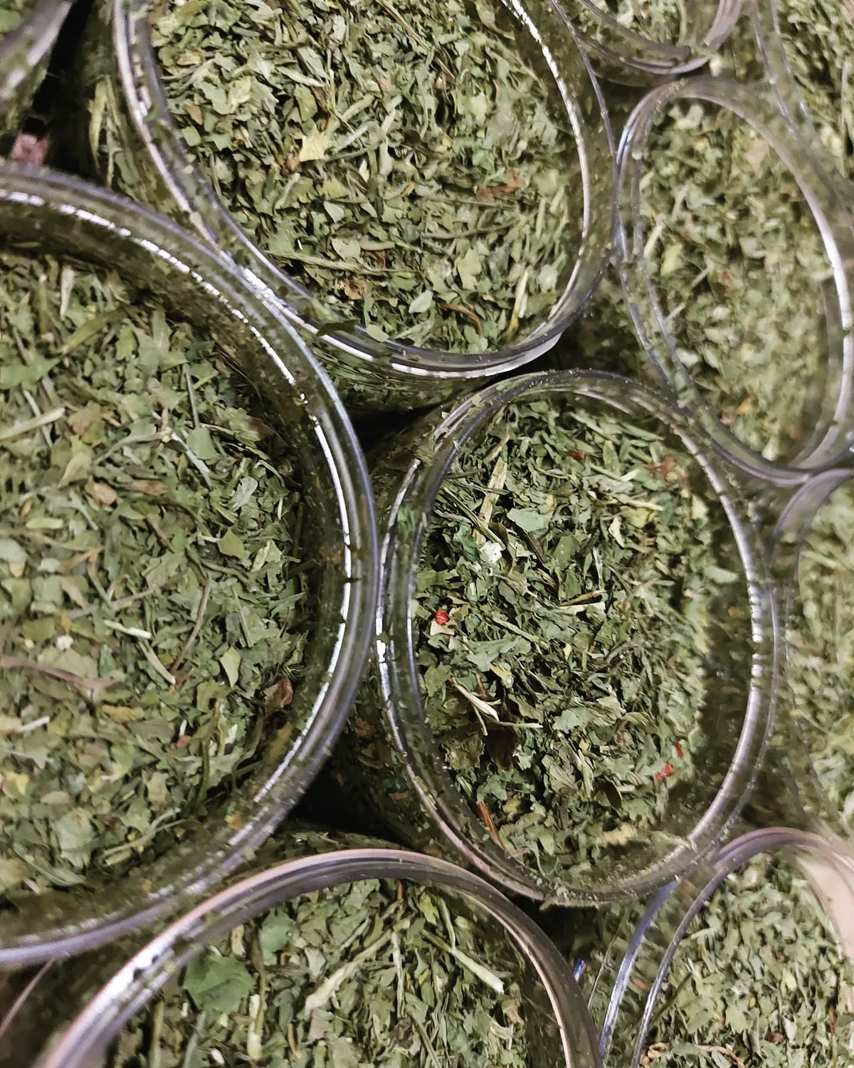 Dried Spice Shefs