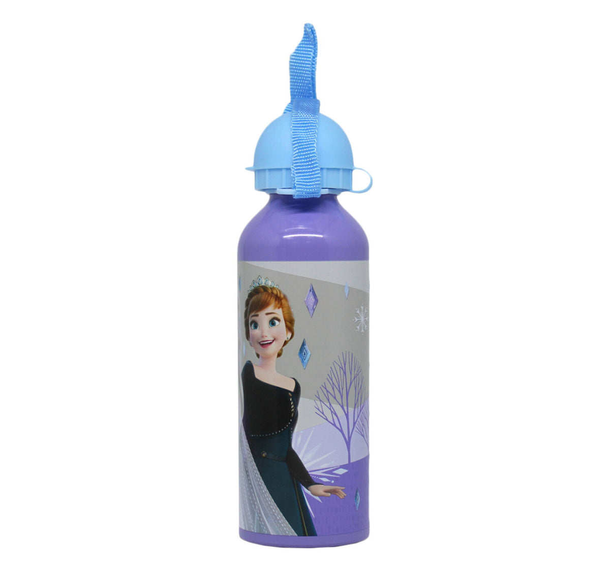 Frozen Metal Water Bottle