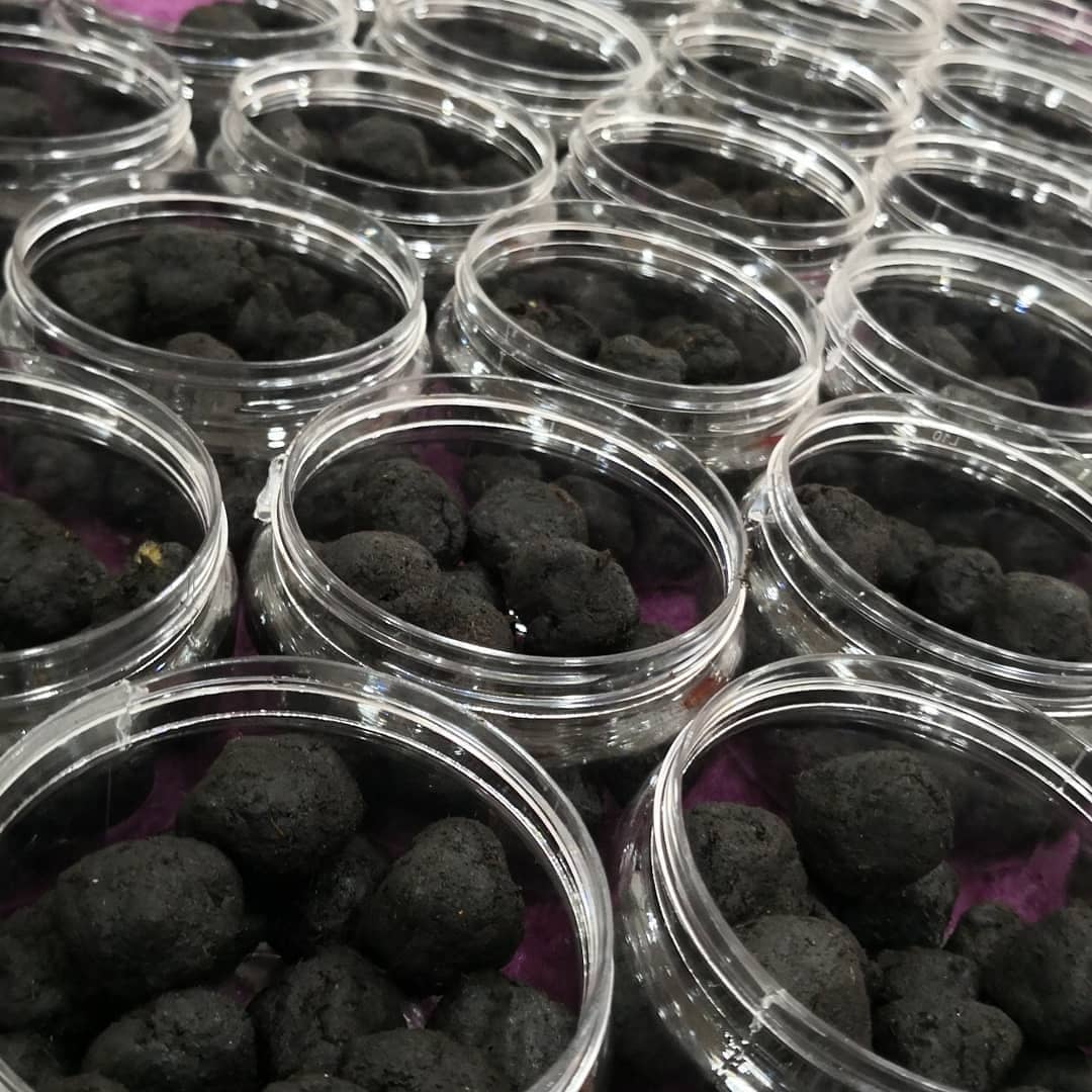 Al-Hojari frankincense incense Shefs