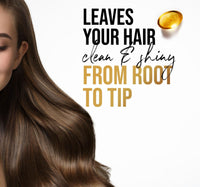 Pantene Pro-V Daily Care Shampoo 400 ml