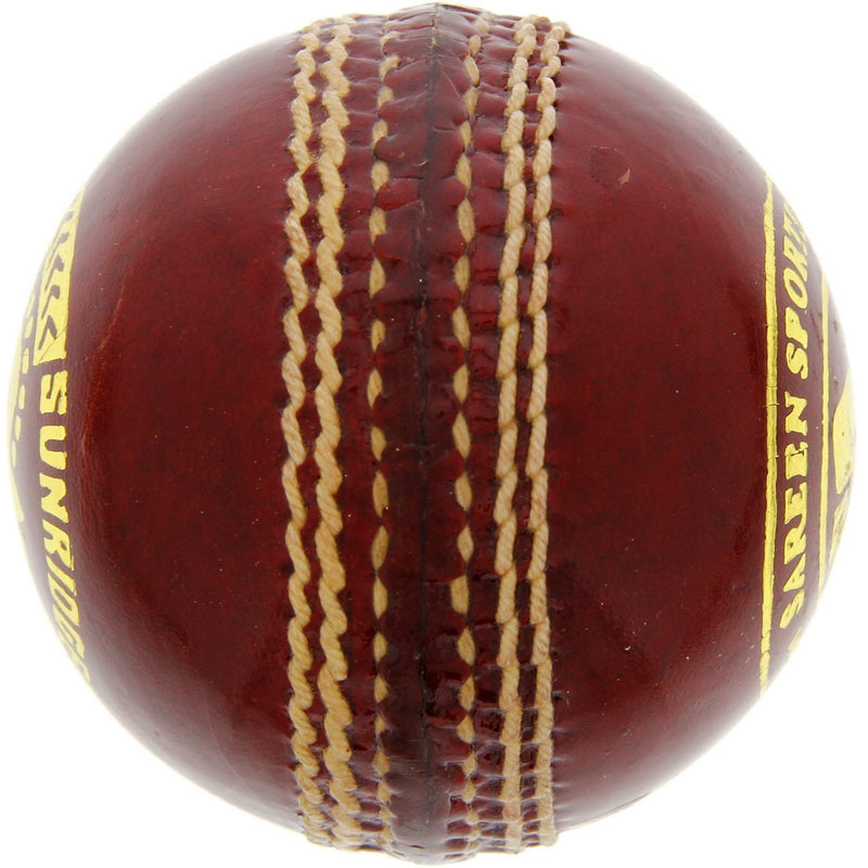 SS Cricket Ball Swinger 10030019