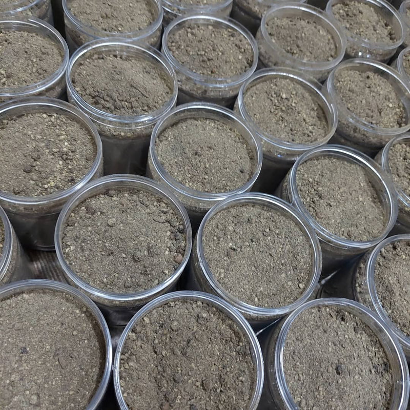 Ground black pepper Shefs