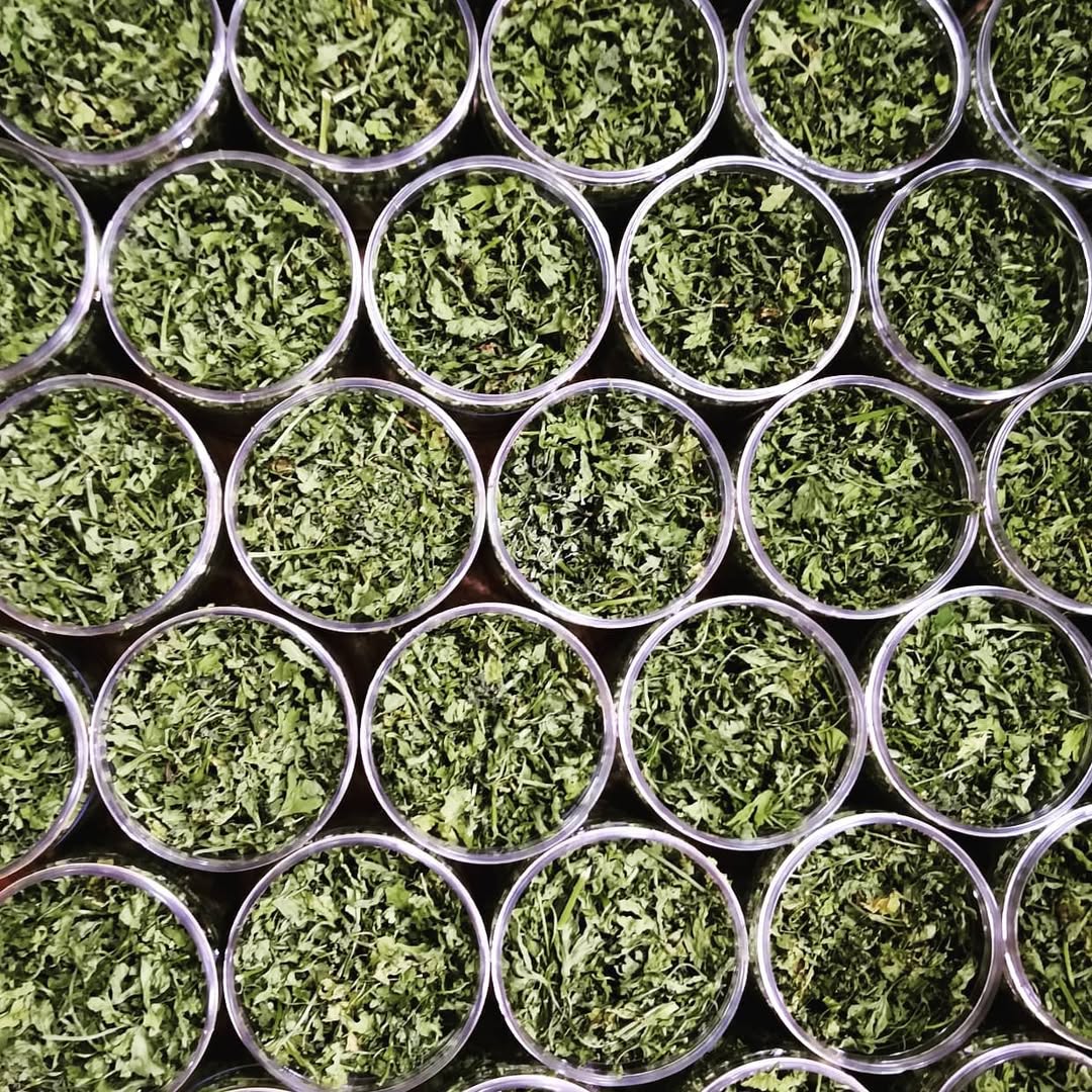 Dried parsley Leafs Shefs