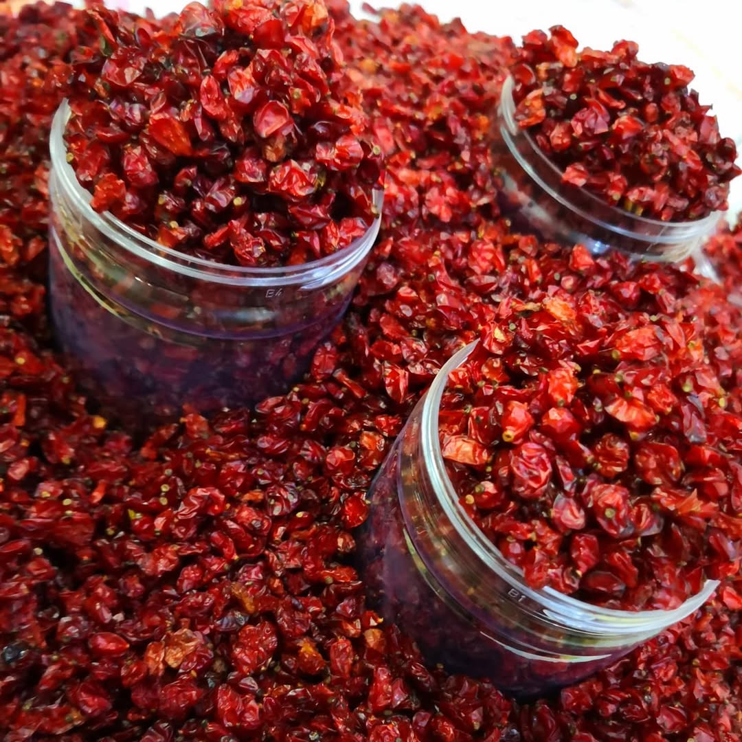 Iranian zereshk seeds Shefs