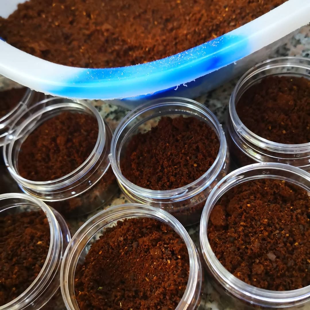 Ground cloves Shefs