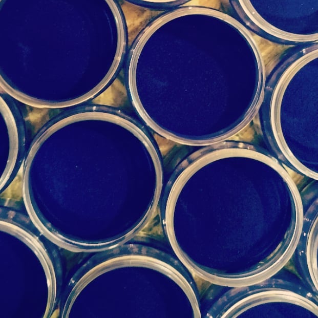 Blue food color Shefs
