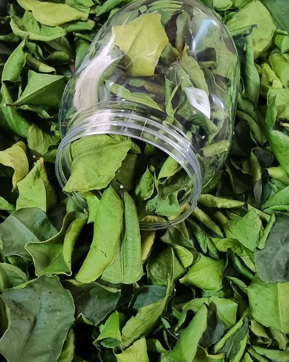Dried Thai lime leaves Shefs