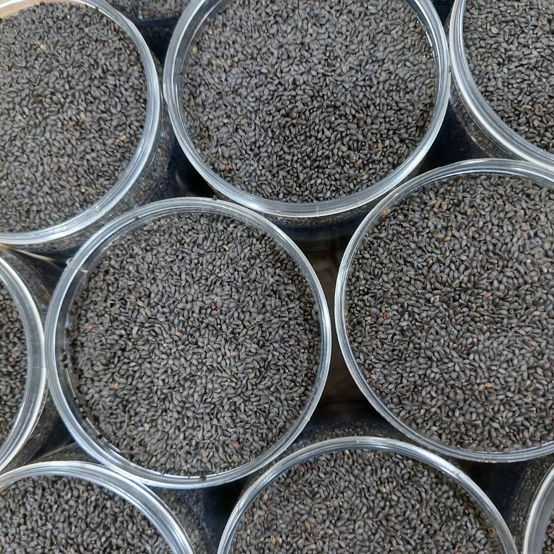 Khawaja Ibrahim seeds (Basil seeds) Shefs