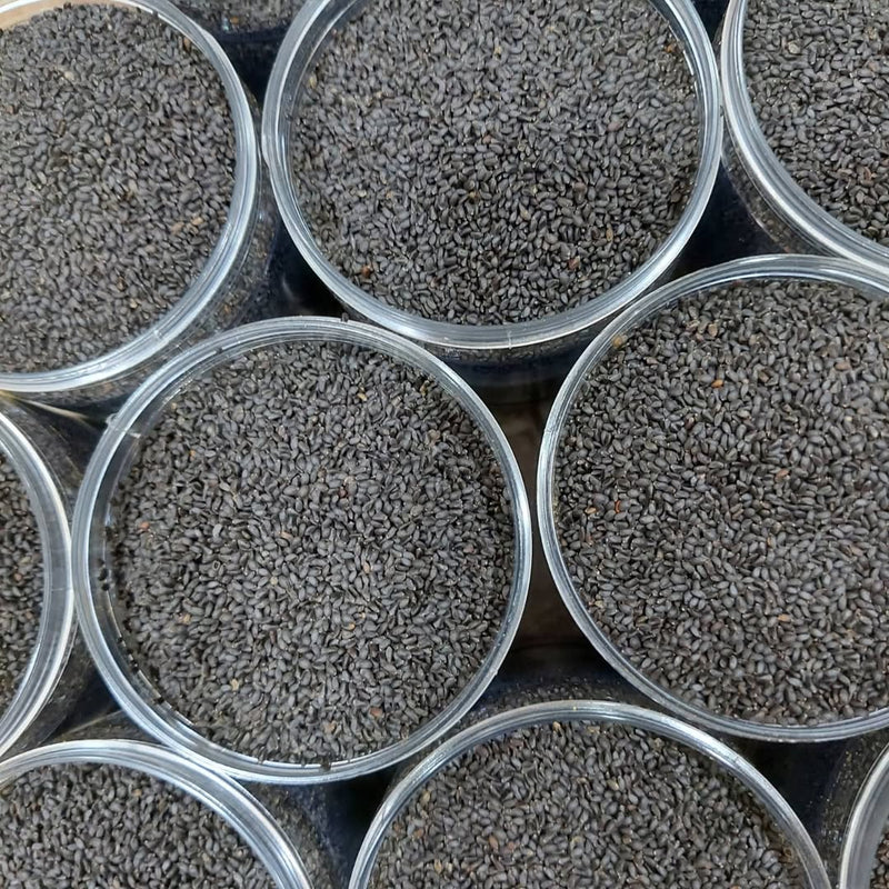Khawaja Ibrahim seeds (Basil seeds) Shefs