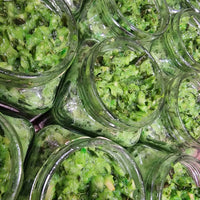 Garlic Paste with Herbs Shefs
