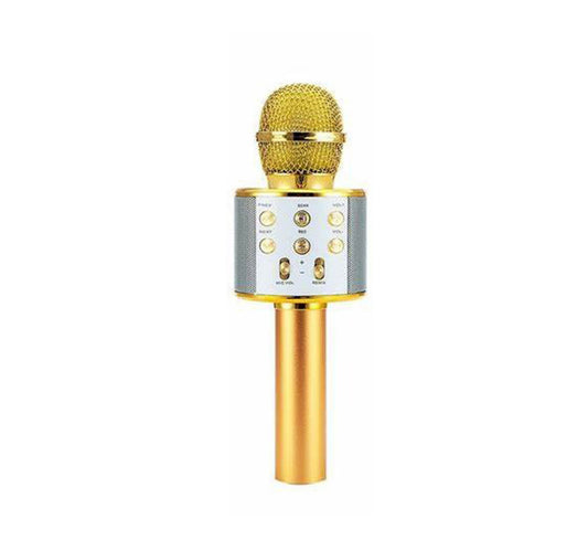 Dat Wireless Microphone With Speaker WS-858 Assorted Colors