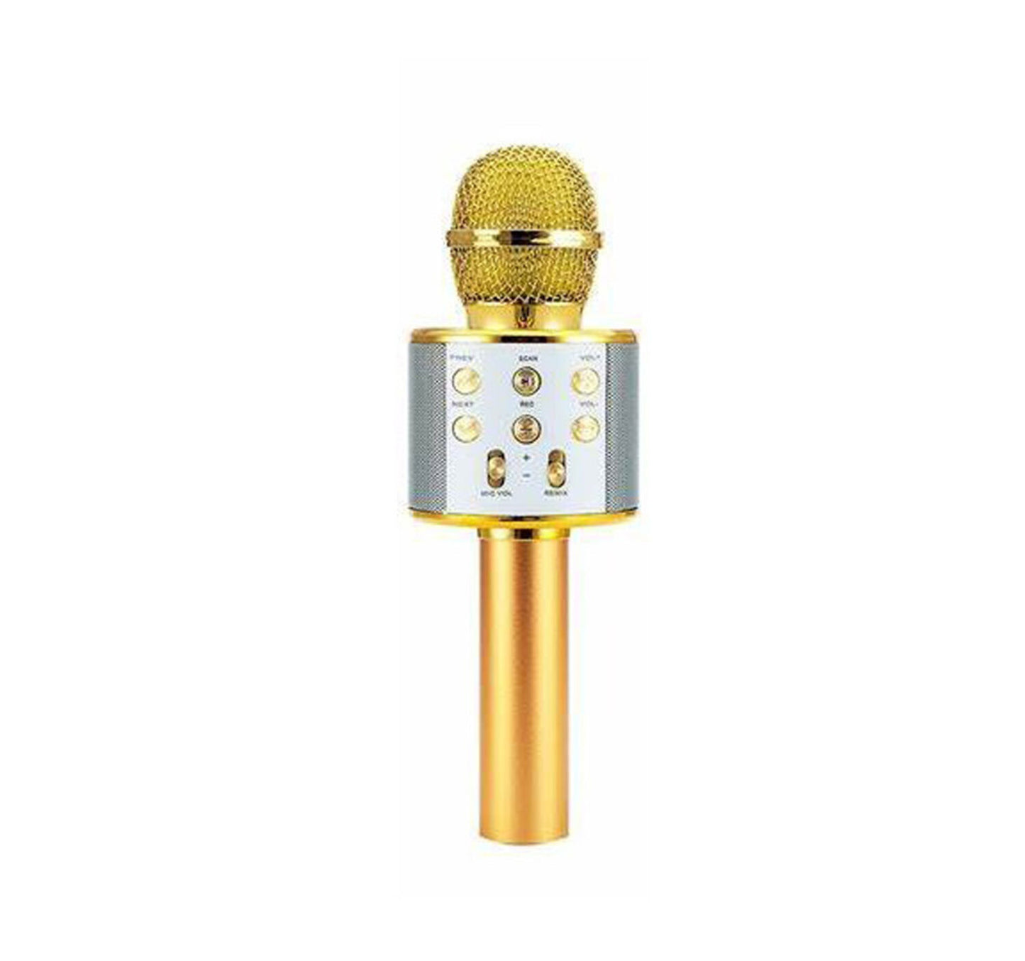 Dat Wireless Microphone With Speaker WS-858 Assorted Colors