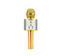 Dat Wireless Microphone With Speaker WS-858 Assorted Colors