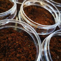 Ground cloves Shefs