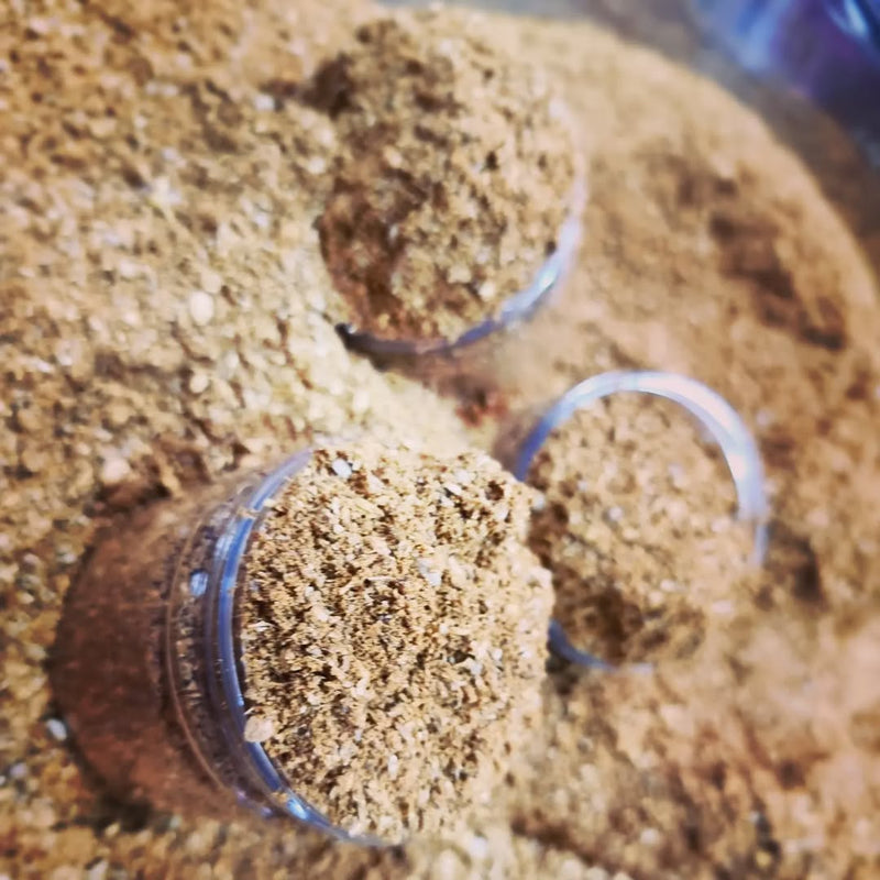 Ground cumin and coriander Shefs