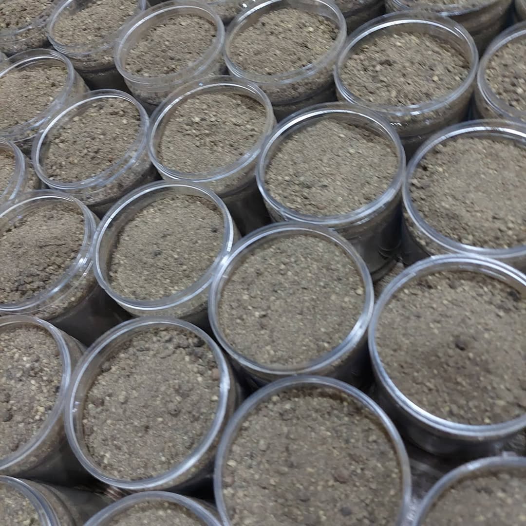 Ground black pepper Shefs