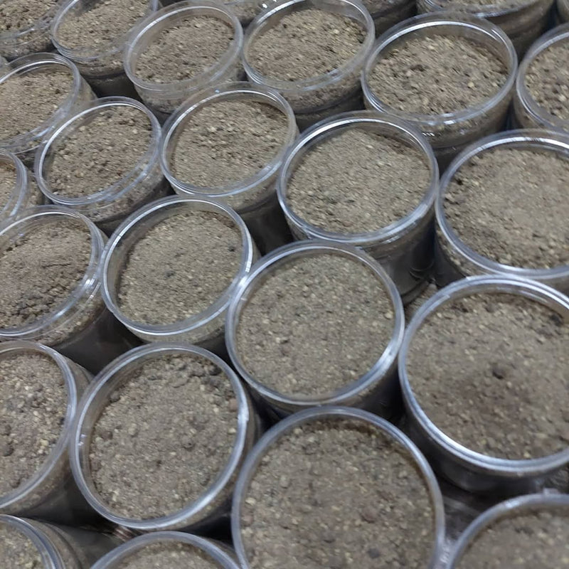 Ground black pepper Shefs
