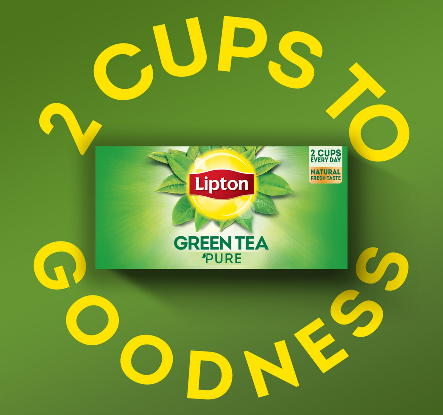 Lipton Pure Green Tea Value Pack 25 Teabags