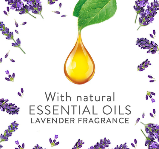 Air Wick Plug-in Scented Oil Fragrance Diffuser with Refill Lavender Scent 19 ml