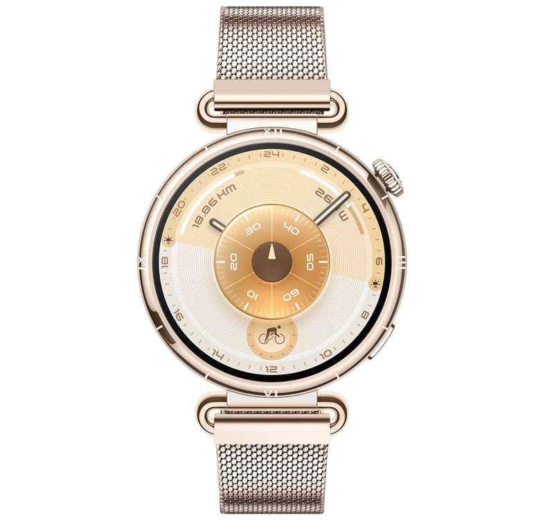 Huawei GT6 Konsu GPS + Wifi Smartwatch, 41 mm Stainless Steel Case with Gold Milanese Strap, KSU-B19