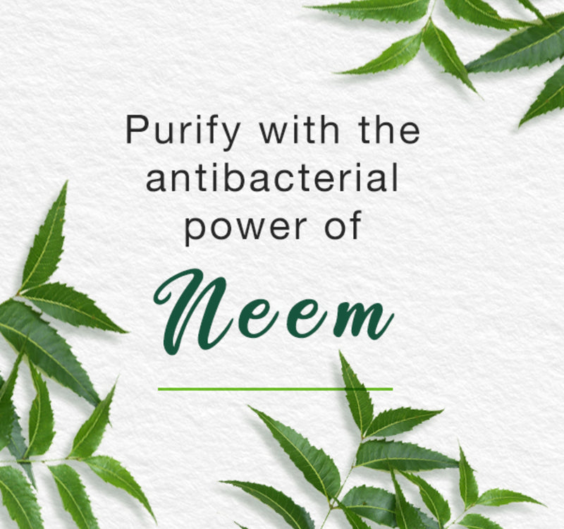 Himalaya Purifying Neem Face Scrub 150 ml