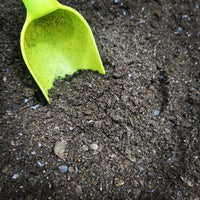 Ground Black Lime Shefs