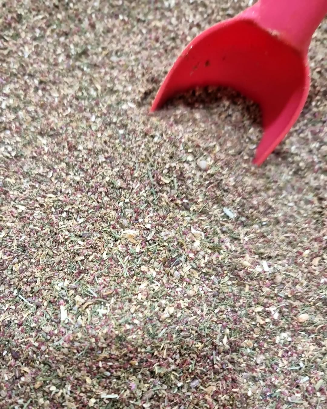 Awesome mixed spice Shefs