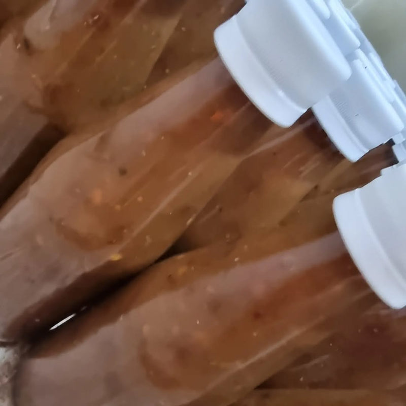 Indian Aloe Vera Dip Shefs