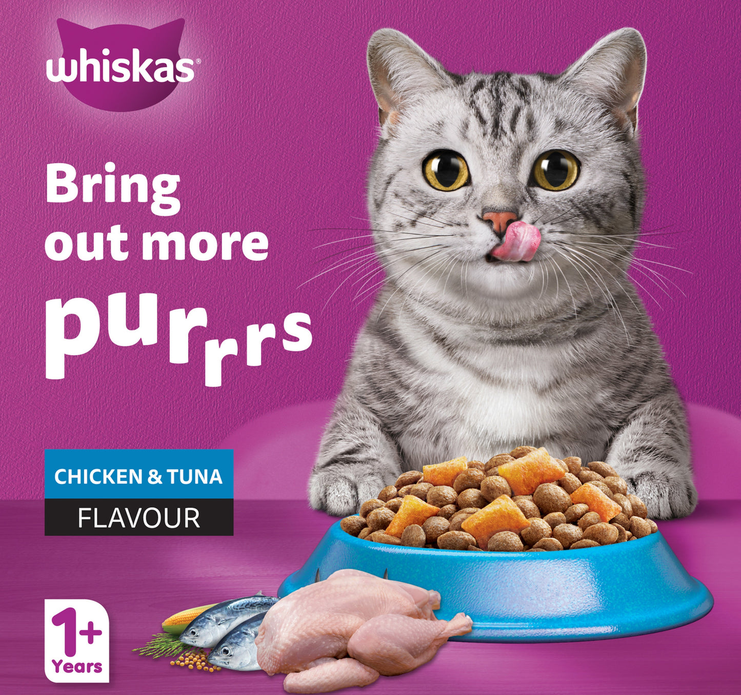 Whiskas Chicken & Tuna Flavour Hairball Control Dry Food for Adult Cat 1.1 kg