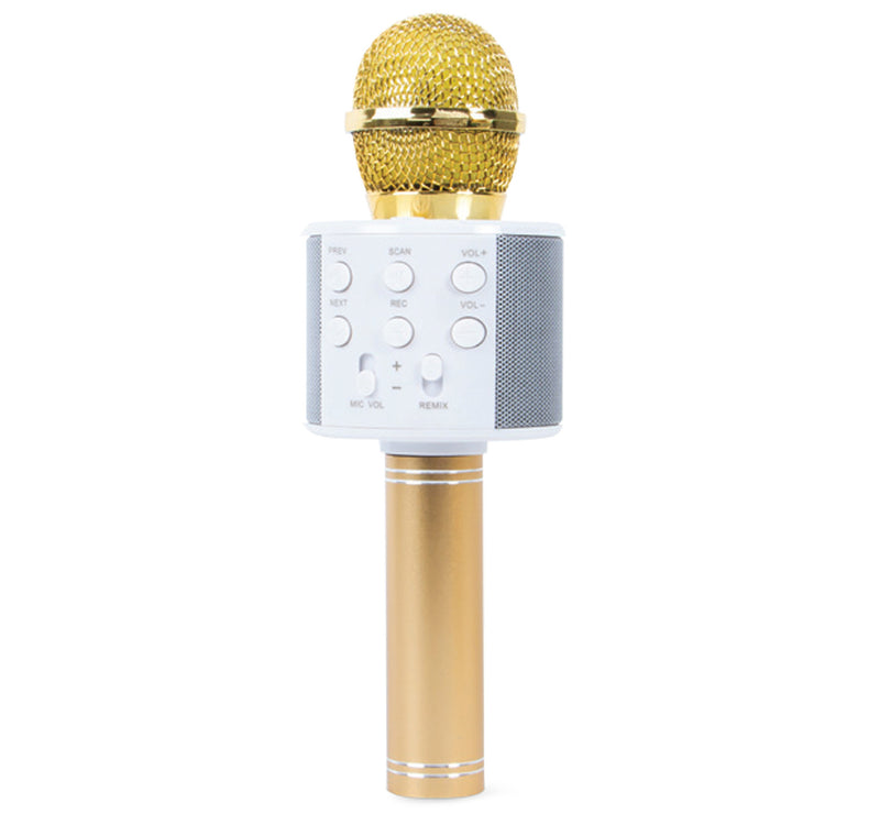 Iends Karaoke Mic With Speaker KO10