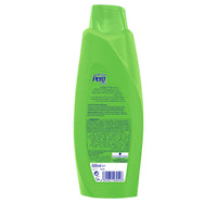 Pert Plus Shampoo with Ginger Extract 600 ml