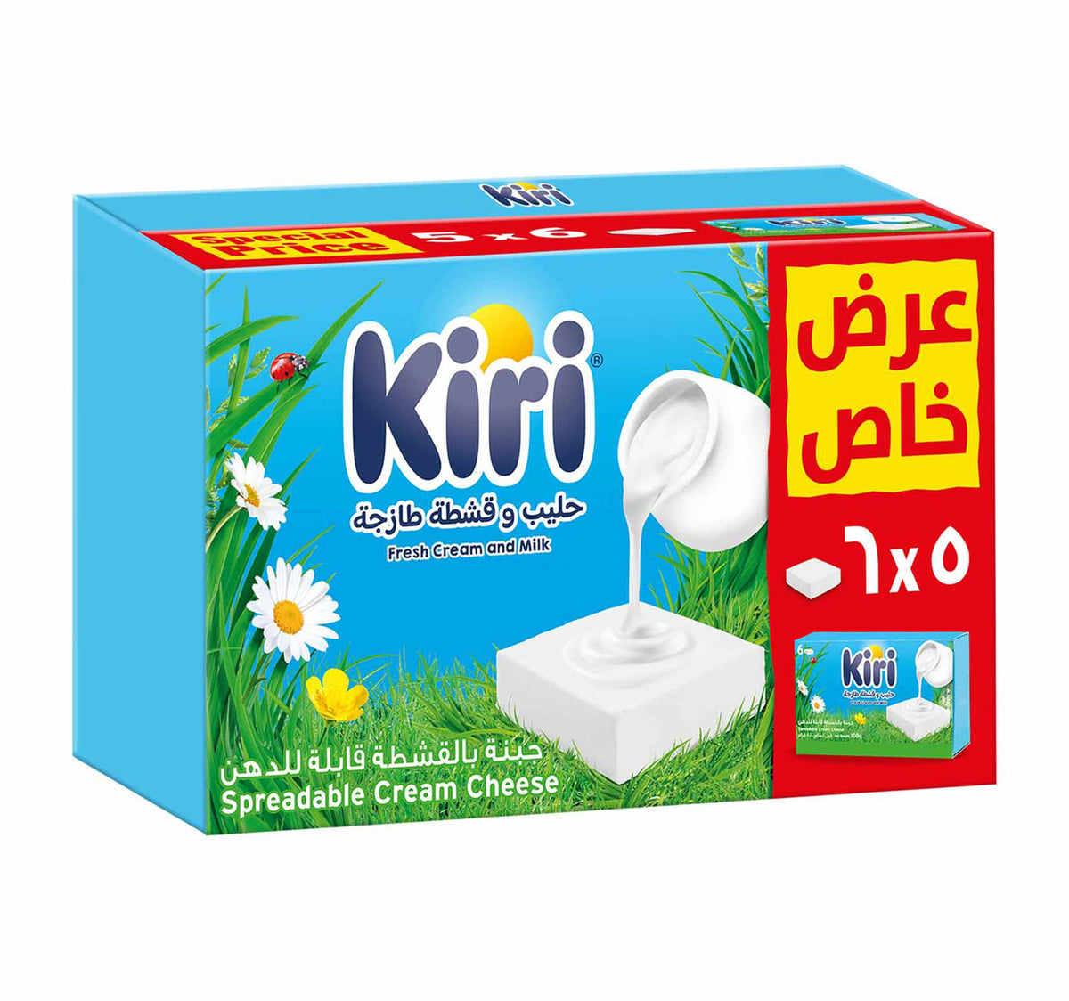 Kiri Spreadable Cream Cheese Squares 5 x 6 Portions 500 g Lulu Hypermarket