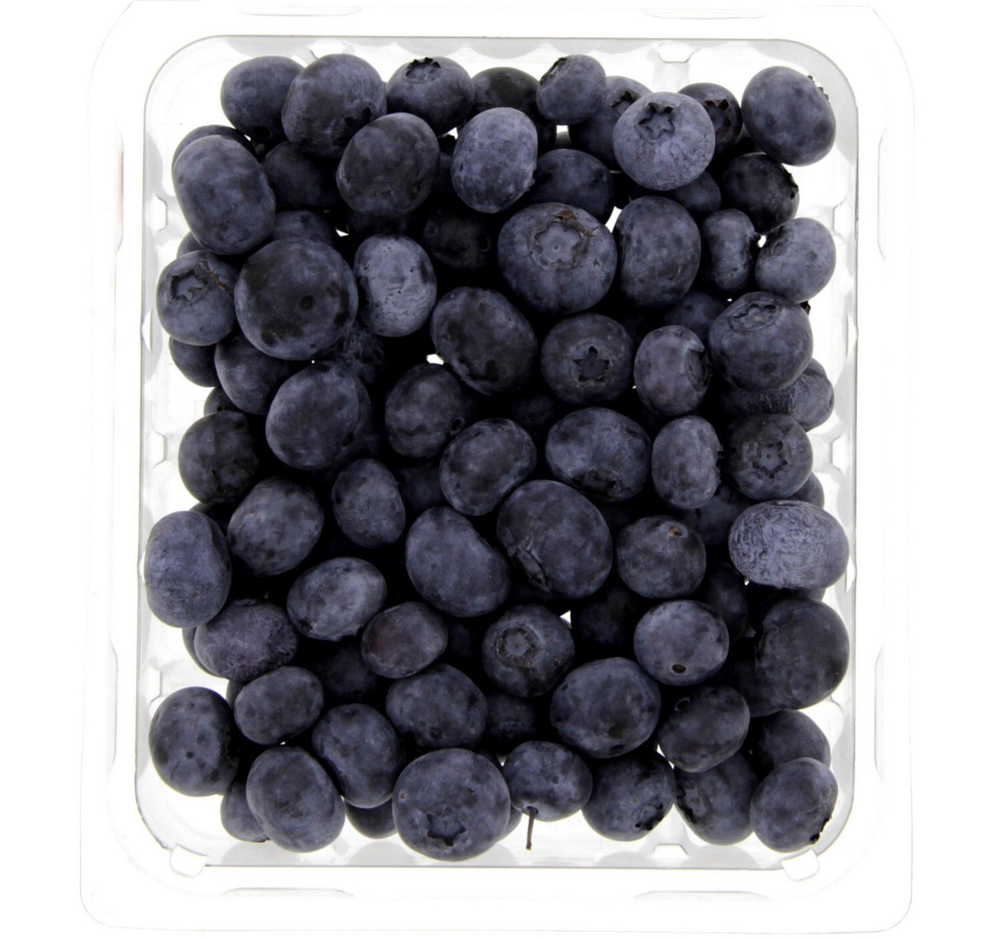 Blueberry Poland 125 g Sultan Center