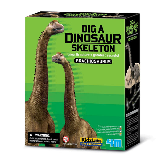 Branchisaurus Skeleton Excavation 3237