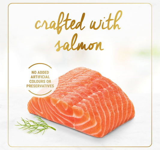 Purina Fancy Feast Grilled Salmon Feast In Gravy Cat Food 85 g
