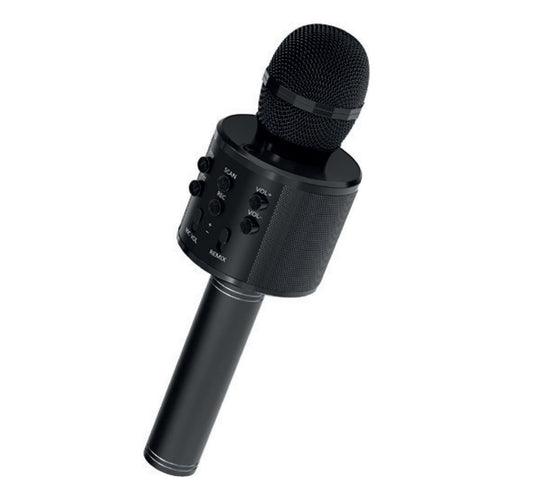 Iends Karaoke Mic With Speaker KO10