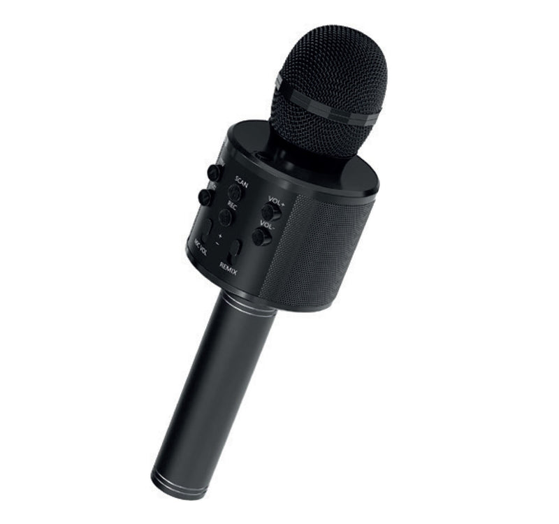 Iends Karaoke Mic With Speaker KO10