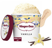 Haagen-Dazs Vanilla & Cream Ice Cream 100 ml