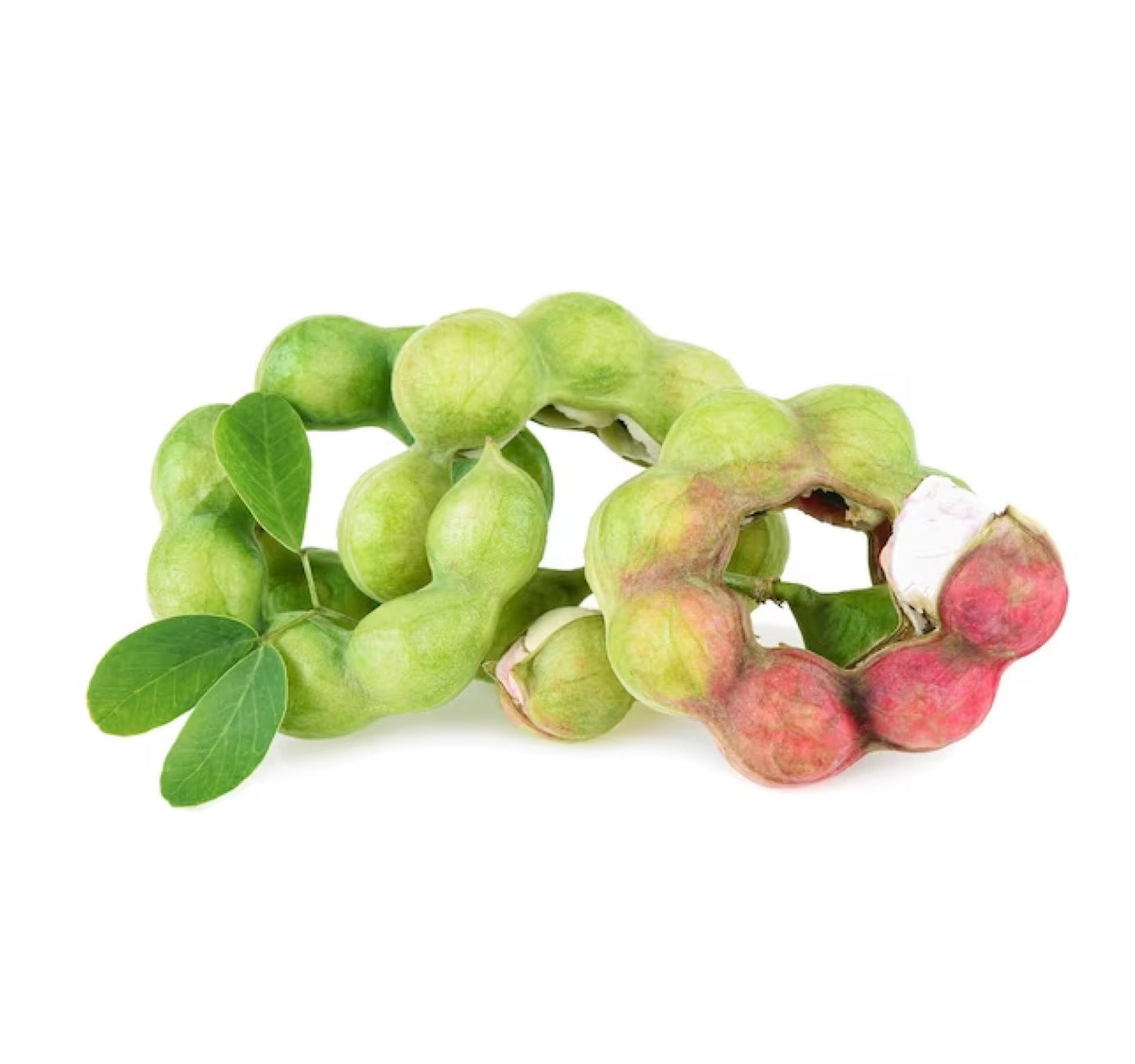 Manila Tamarind 1 pkt