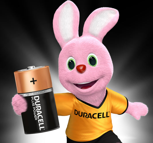 Duracell Plus Power Type D Alkaline Batteries 2pcs