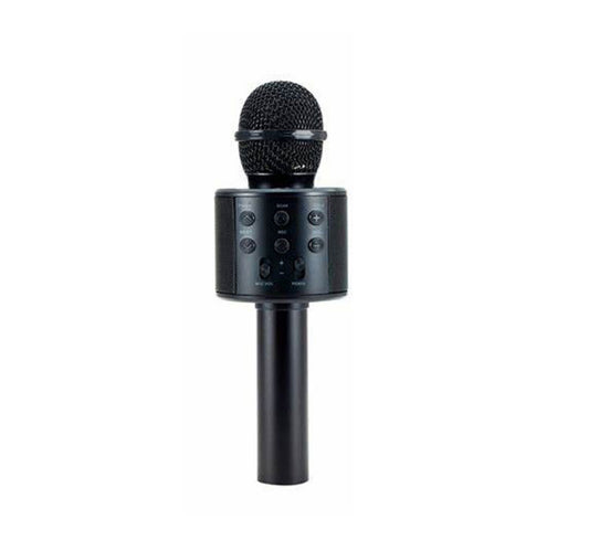 Dat Wireless Microphone With Speaker WS-858 Assorted Colors
