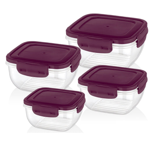 Bager Storage Container, 4 Pcs, BG534