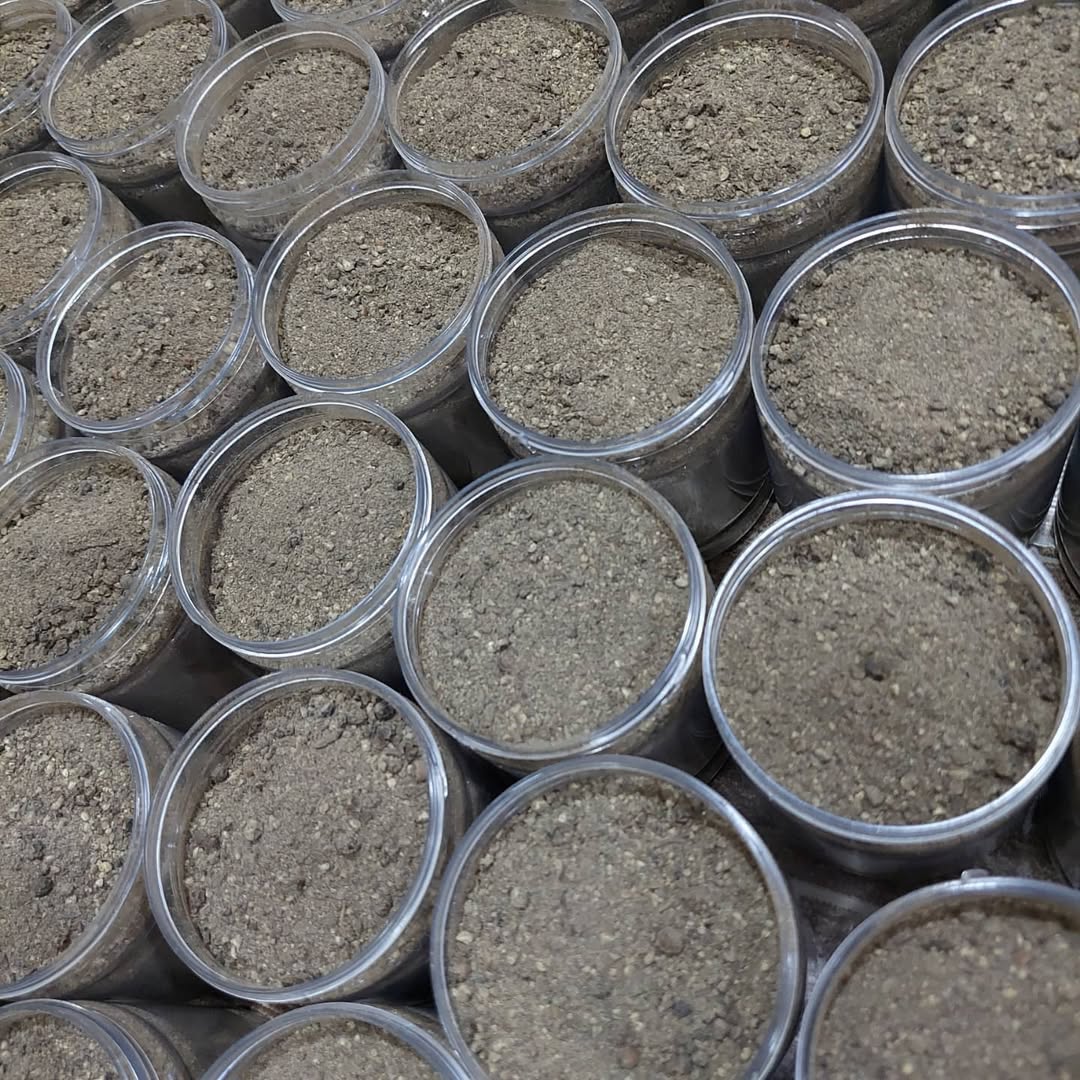 Ground black pepper Shefs