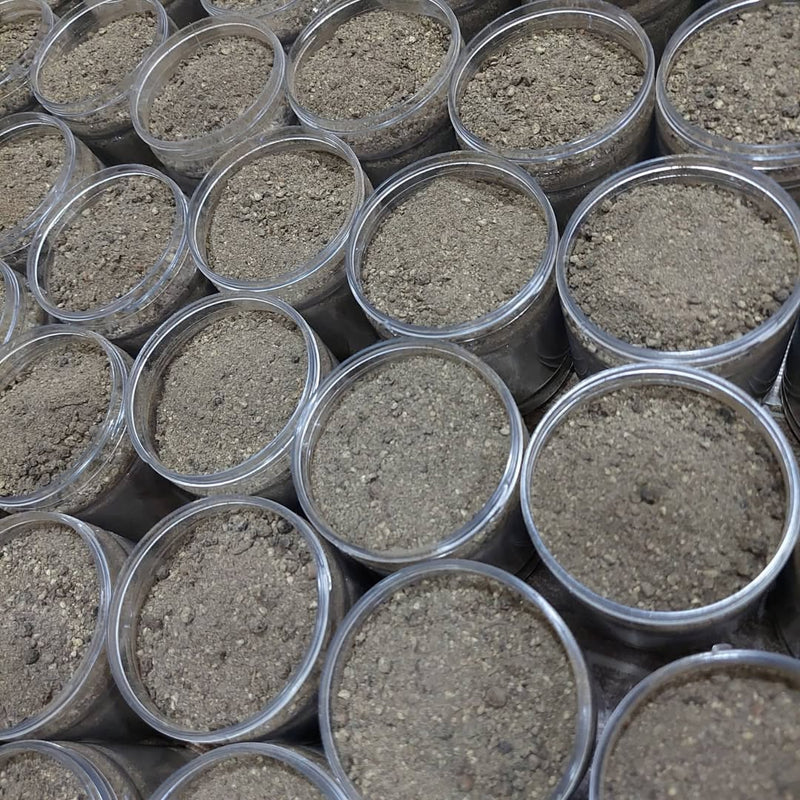 Ground black pepper Shefs