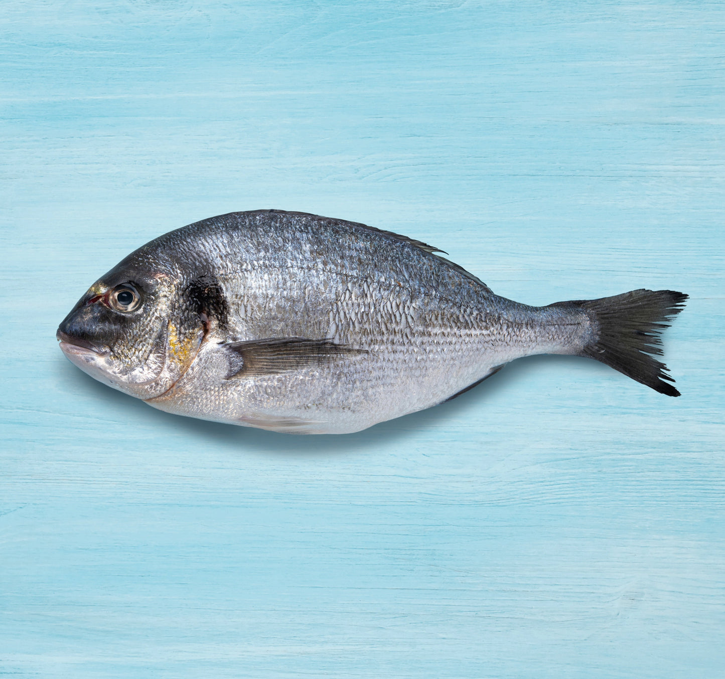 Farmed Sea Bream Whole Cleaned 1 kg